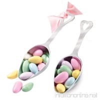 Wilton 1006-1029 2-Pack Candy Scoop - B004EBM9WS